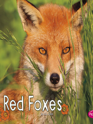 cover image of Red Foxes